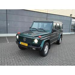 Puch mercedes G 300 TD 1996 Groen 177 pk g-klasse youngtimer