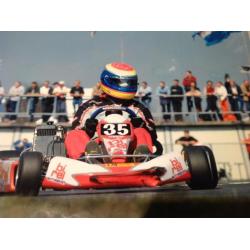 125cc rotax max karts