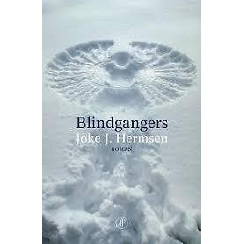 Joke J. Hermsen: Blindgangers