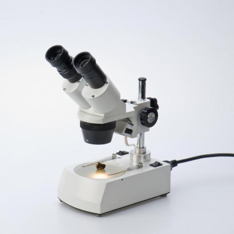 Stereo microscoop - mooiste kado voor jonge kinderen