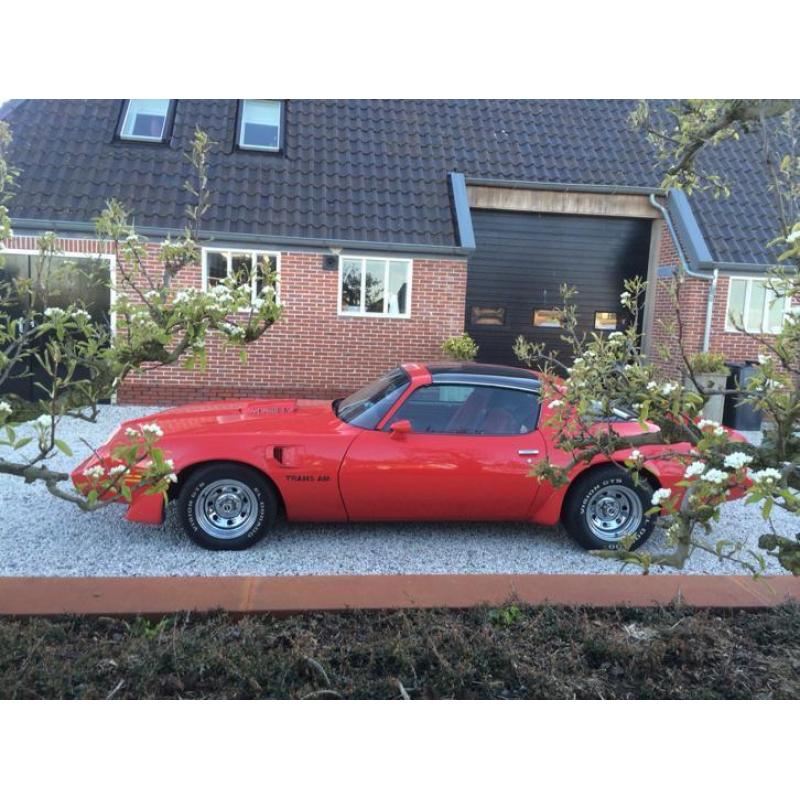 Pontiac Firebird 4.9 Trans-am AUT 1980 Rood