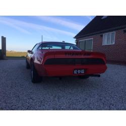 Pontiac Firebird 4.9 Trans-am AUT 1980 Rood