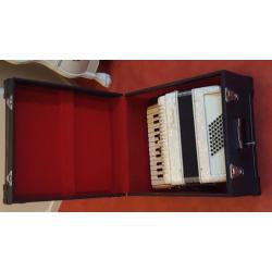 Accordeon parelmoer 48 bas