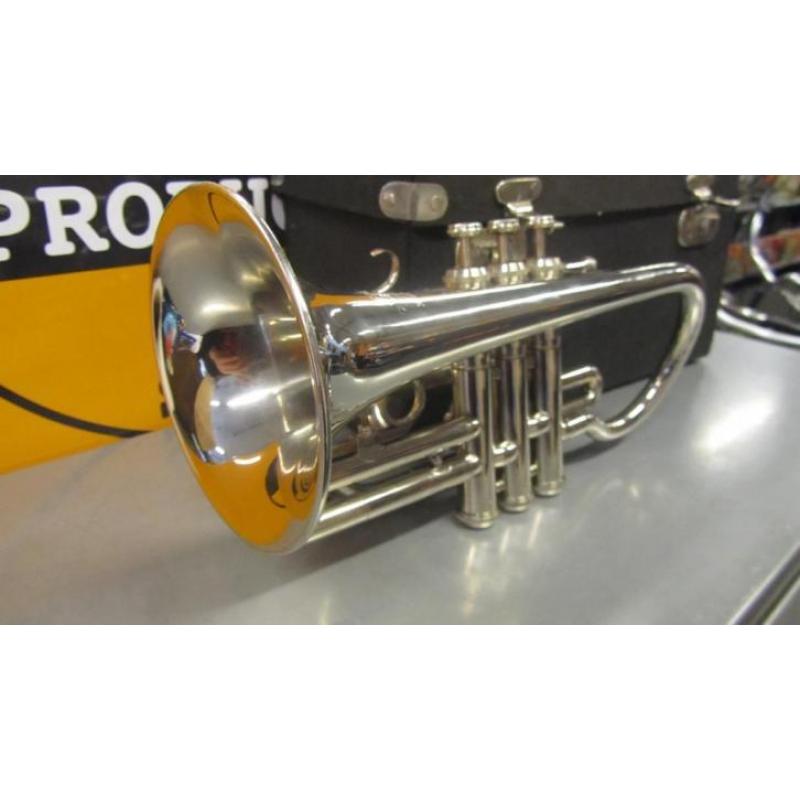 Empire Brass India | Cornet