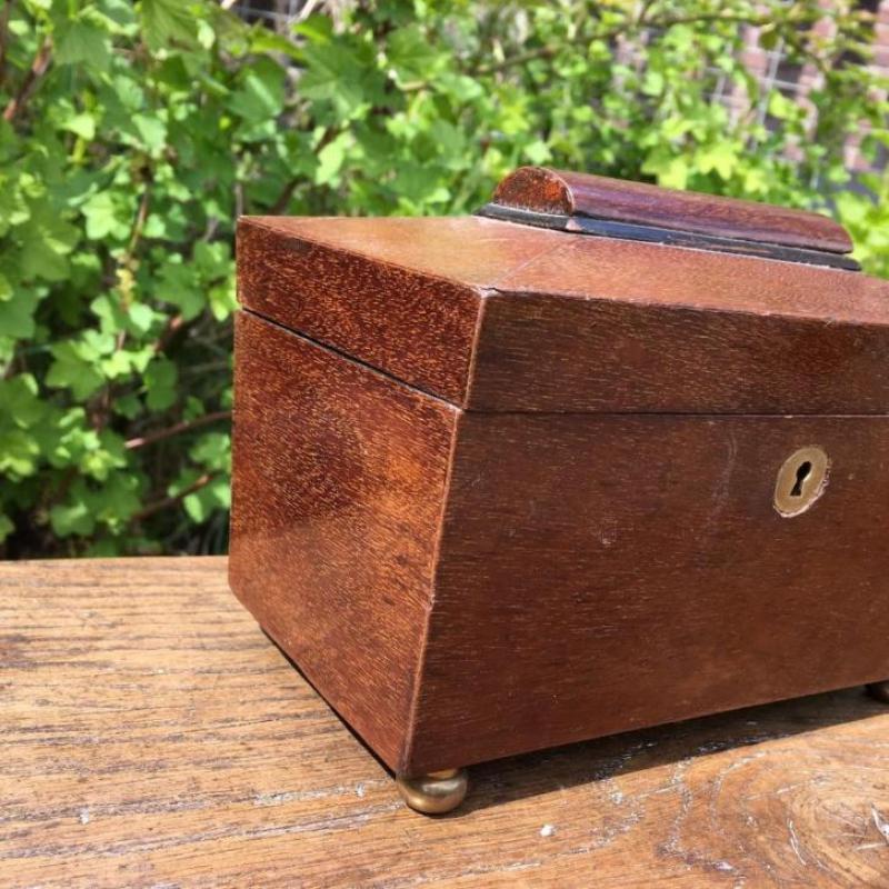 oude Engelse mahonie tea caddy - theedoos antiek- met deksel