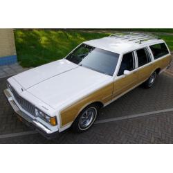 Pontiac Parisienne 5.0 Wagon AUT K6 1985 Wit