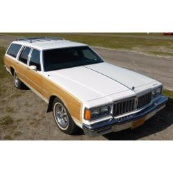 Pontiac Parisienne 5.0 Wagon AUT K6 1985 Wit