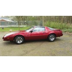 Pontiac Firebird 3.1 AUT U9 1991 Rood