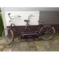 3 fietsen Tandem,damesfiets,meisjesfiets+fietskar