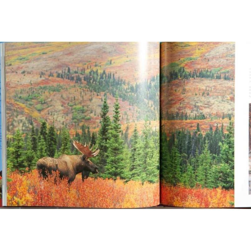 Wildlife Alaska en Montana boek (set van 2)