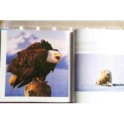 Wildlife Alaska en Montana boek (set van 2)