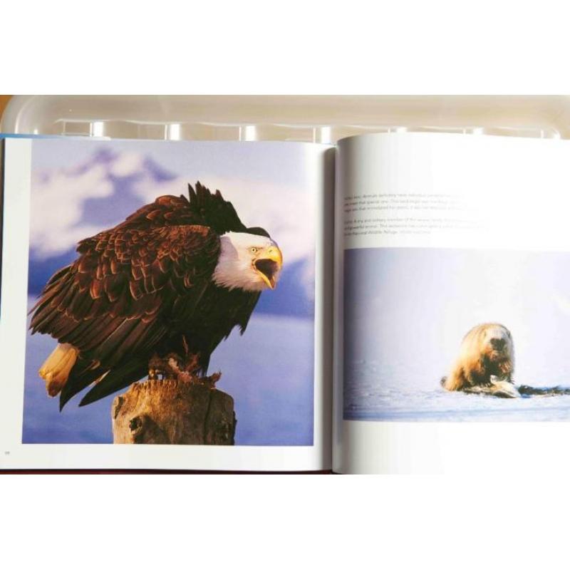 Wildlife Alaska en Montana boek (set van 2)