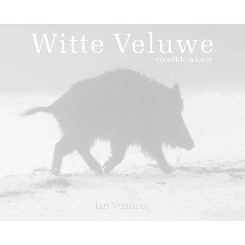 Witte Veluwe