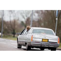 GMC Cadillac Fleetwood 1995 Grijs Limousine