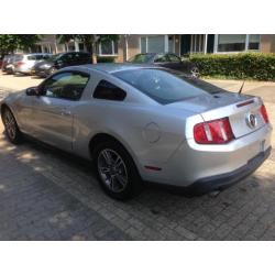 nette ford mustang 2011