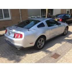 nette ford mustang 2011