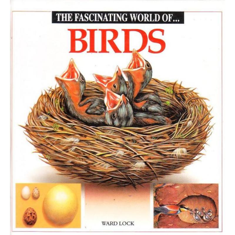 the fascinating world of birds by Ward Lock