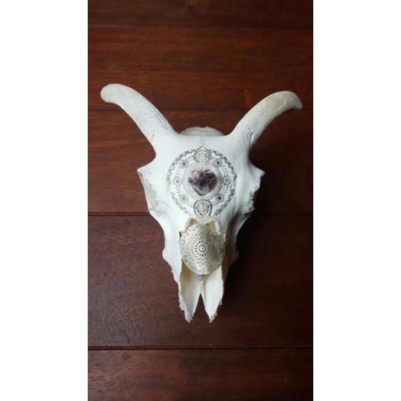 Gegraveerde schapenskull schedel henna amethyst kristal