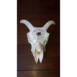 Gegraveerde schapenskull schedel henna amethyst kristal