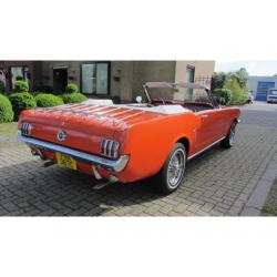 Ford USA Mustang 289 V 8 keiharde originele Auto (bj 1965)