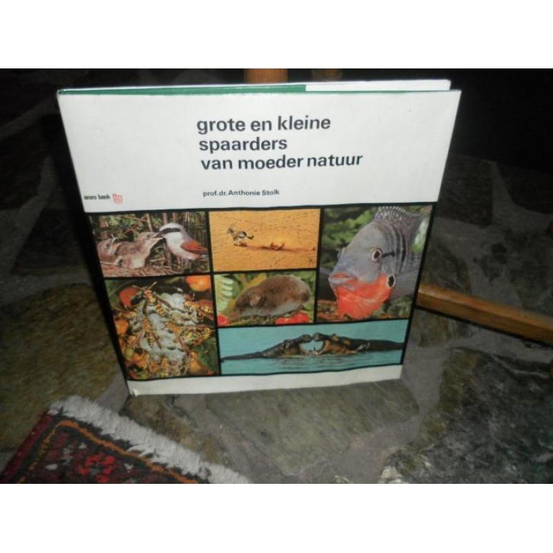 grote kleine sp