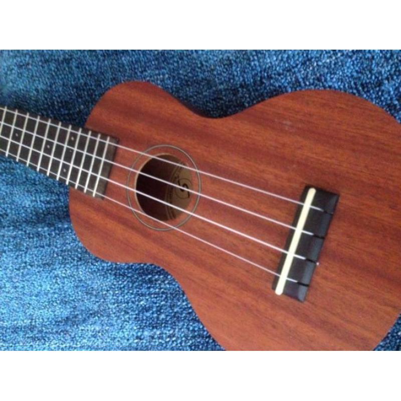 Ukelele voor beginner