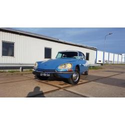 Citroen DS D Super 5