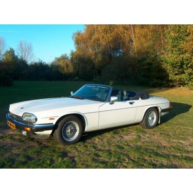 Jaguar XJ-S 5.3 Convertible V12 AUT 1988 Engels Wit