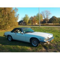 Jaguar XJ-S 5.3 Convertible V12 AUT 1988 Engels Wit