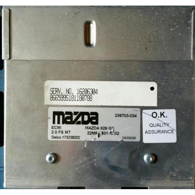 Gascomputer ECU Delco 173238202