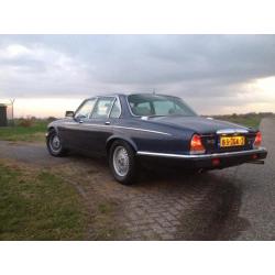 Daimler Double-SIX 5.3 V12 VandenPlas 1987 Blauw