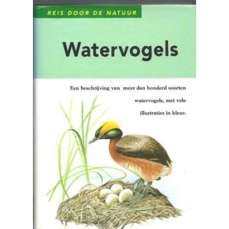 Reis Door De Natuur Watervogels