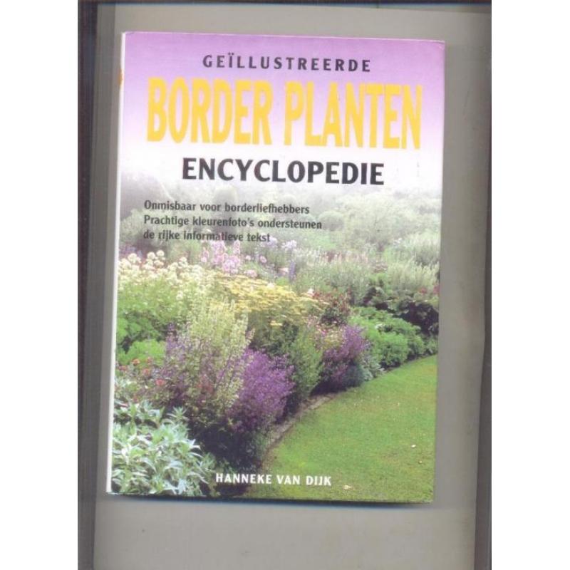 Border Planten - encyclopedie