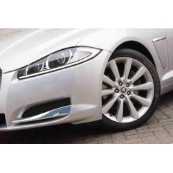 Jaguar XF 2.2D 190 Business / Nieuw model / Navigatie / Lede