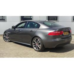 Jaguar XE 2.0 147KW AUT