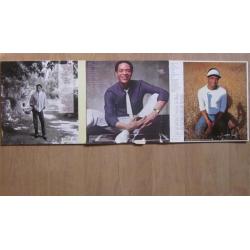 Al Jarreau, 3 Lp's