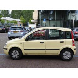 Fiat Panda 1.2 Dynamic 2004 - Geel