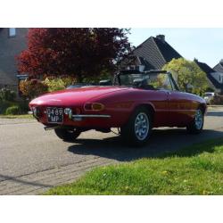 Alfa Romeo Duetto 1750 Spider Veloce