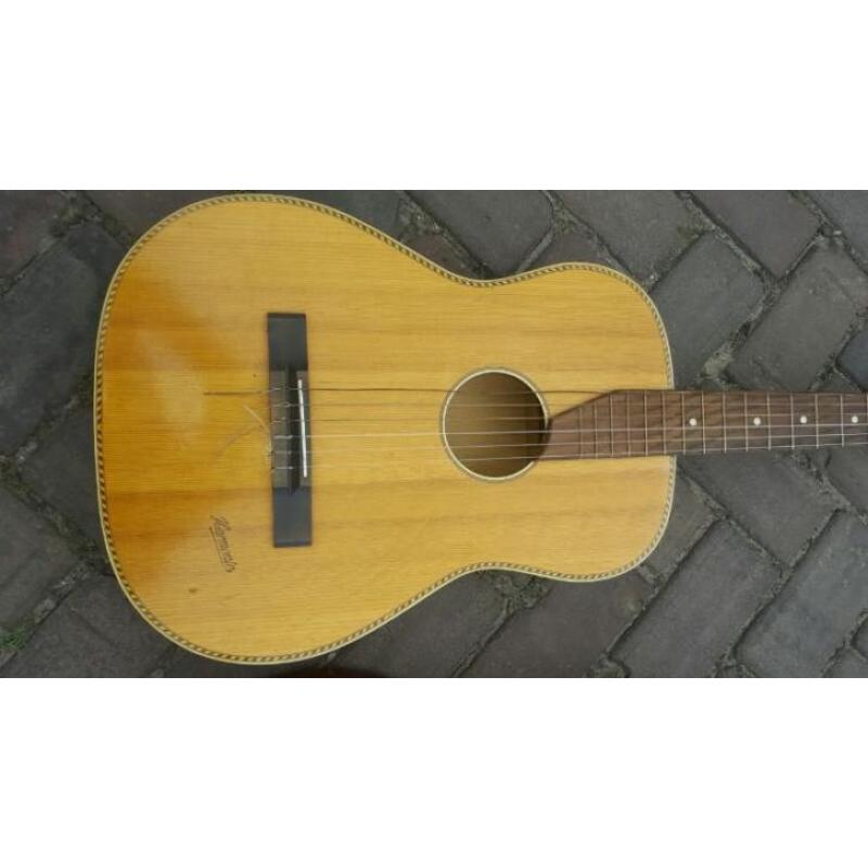 gitaar banjo mandoline