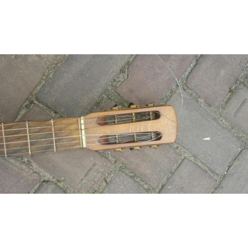 gitaar banjo mandoline