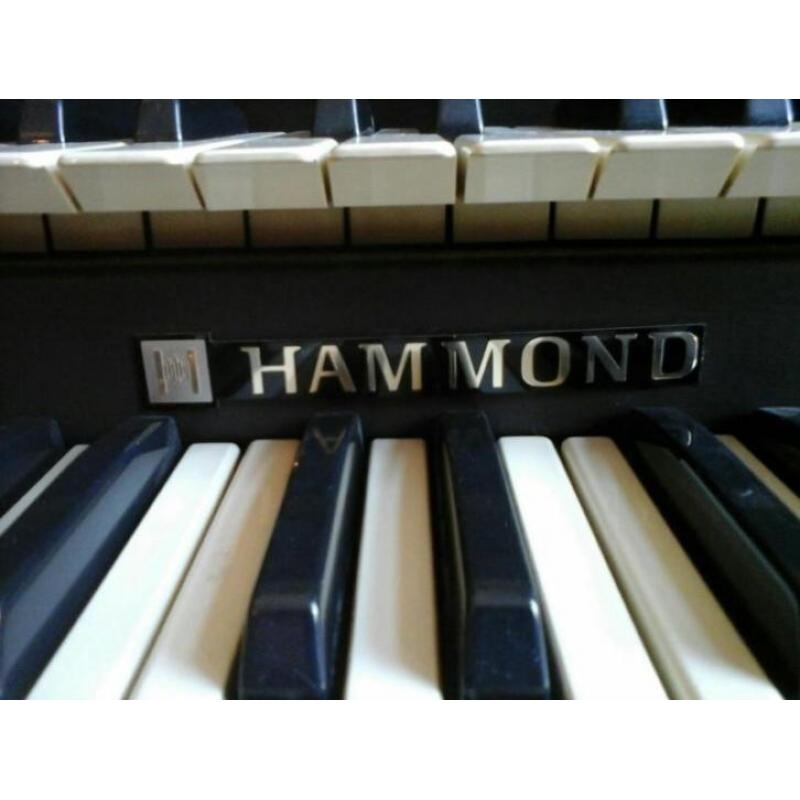 orgel hamond