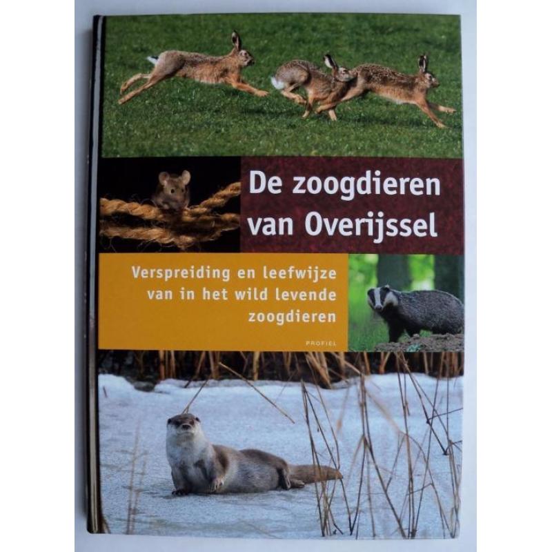 De zoogdieren van Overijssel