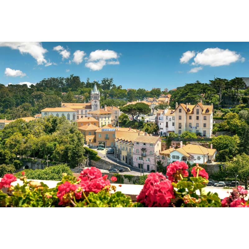 Private Sintra Tour from Lisbon with Wine Tasting and Moorish Castle