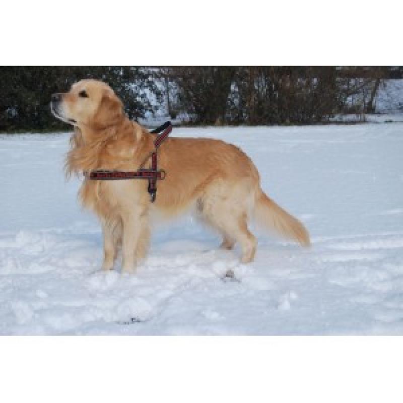 Hond Tuigjes Hurtta Hurtta Padded Harness 120 cm voor de hond Blauw Groen