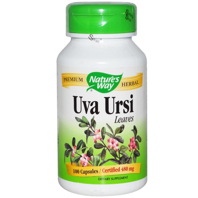 UVA Ursi bladeren (100 Capsules) Nature apos s Way Natures way