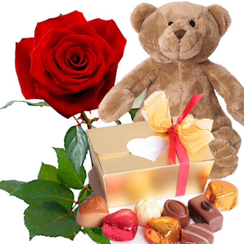 Rode roos met Valentijn chocolade en beer
